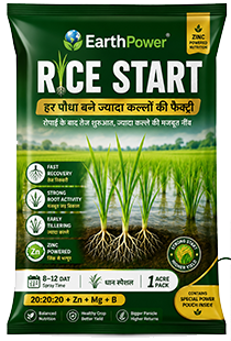 Rice Start